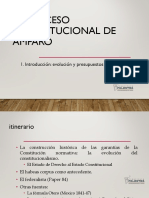 1 PROCESO DE AMPARO. Introdución