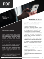 Correo Electrónico PDF