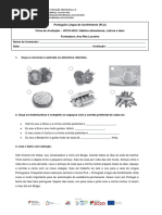 Teste Avaliação 6453