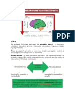 Resumo Motricidade - Prova 2