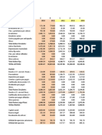 Estados Financieros Sarita Con Perpetuidad