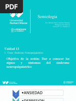 Clase 13 Sindrome Neuropsiquiatrico