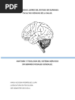 Cuaderno Anatomía y Fisiología Del SN