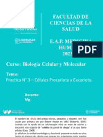 Practica #4 - Células Procariota y Eucariota.