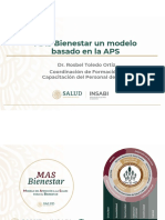 230111-Seminario APS-MAS Bienestar PDF