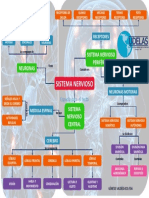 ASIGNACION 1 DE NEUROCIENCIAS Conceptual Del Sistema Nervioso, Sus Bases y Funciones Genesis Valdes Grupo 14