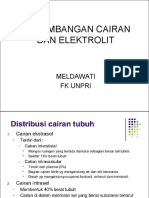 Keseimbangan Elektrolit PDF