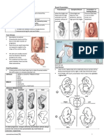 Physio OB Conduct of Labor and Delivery Caramel Macchiato