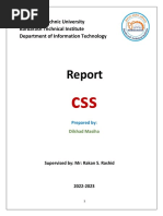 Dilshad Masiha Report PDF