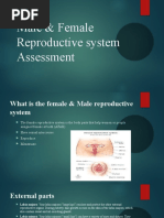 Male & Female Reproductive System Assessment