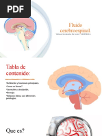 Flu I Do Cerebro e Spinal