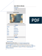 Mycobacterium Tuberculosis