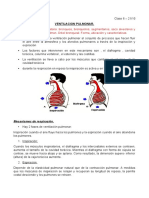 Clase 6 Fisiologia - Ventilacion Pulmonar