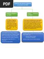 Mapa Consectual Imss