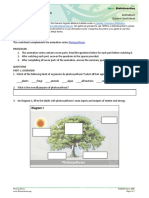 HHMI Biointeractive Photosynthesis WS