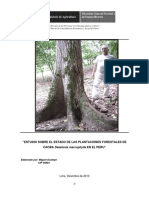 Estudioplantacionecaoba InformeFinal PDF