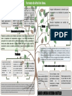 Arbol de Ideas PDF