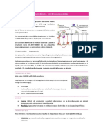 Tema 19 Fisio PDF