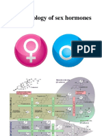 Sex Hormones - 2023 PDF