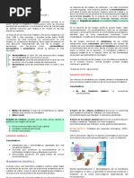 Sinapsis (Completar en Clase Presencial) PDF