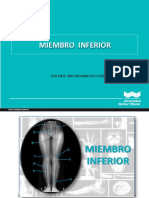 Miembro Inferior Final 12 Enero 23 PDF