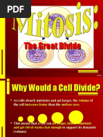 Mitosis