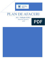 Planul - de - Afaceri - NIKA STATE