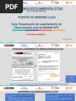 6-Ingreso de Levantamiento de Observaciones - Fitsa PDF