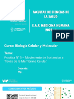 Practica #5 - Movimiento de Sustancias A Través de La Membrana Celular PDF