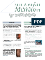 Clase 35 - Síndrome Arterial y Venoso PDF