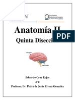 ANATOMÍA II-Disección 5 PDF