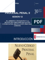 Sesion 12 - Procesal Penal Ii