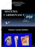 Sistema Cardiovascular