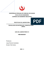 Guia Del Lab 6 PDF