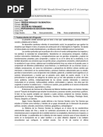 Pep-2-Ciencias Sociales y Su Didactica I PDF