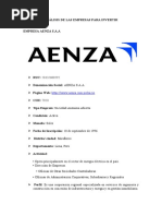 Analisis de La Empresa Aenza