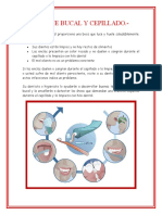 Higiene Bucal y Cepillado