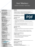 233 Curriculum Vitae Profesional para Trabajo 97 2003