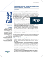 Tecnologia e Custo de Produção de Brachiaria Brizantha para Uso Sob Pastejo PDF