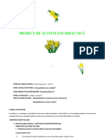 Proiect Preinspectie Grad II