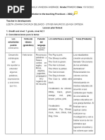 LESSON PLAN LIZETH CHICAIZA-STIVEN ORTEGA Check PDF