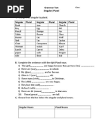 Grammar Test - Singular-Plural