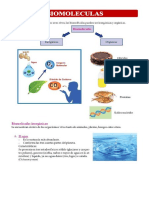 Biomoleculas INORGANICAS 2º