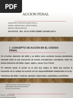 Accion Penal