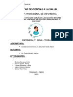 Informe de Adulto Mayor PDF