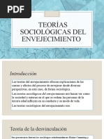 Teorias Sociologicas