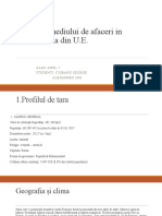 Analiza Mediului de Afaceri in Statul Italia Din