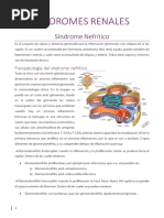 Smes Nefritico y Nefrotico