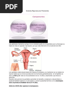 Histologia Del Sistema Reproductor Femenido