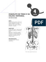 14440216022012elementos de Anatomia Humana Aula 4 PDF